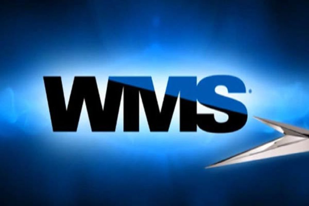 Обзор провайдера софта WMS Gaming для казино, слотов и игровых автоматов Укрказино